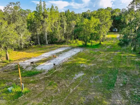 1758 Land O Lakes Boulevard Lutz FL 33549