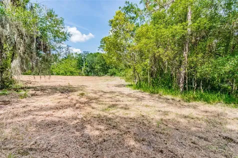 1758 Land O Lakes Boulevard Lutz FL 33549