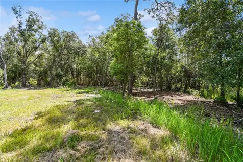 1758 Land O Lakes Boulevard Lutz FL 33549