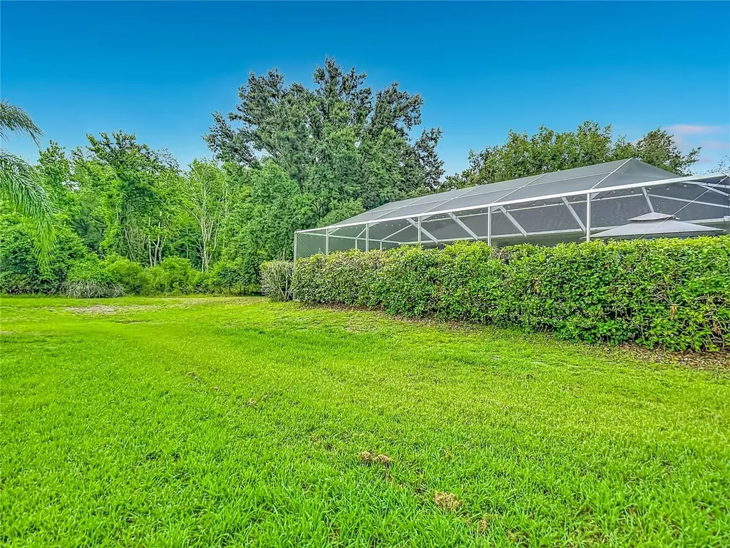 19101 Golden Cacoon Place Lutz FL 33558