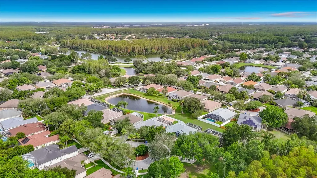 19101 Golden Cacoon Place Lutz FL 33558