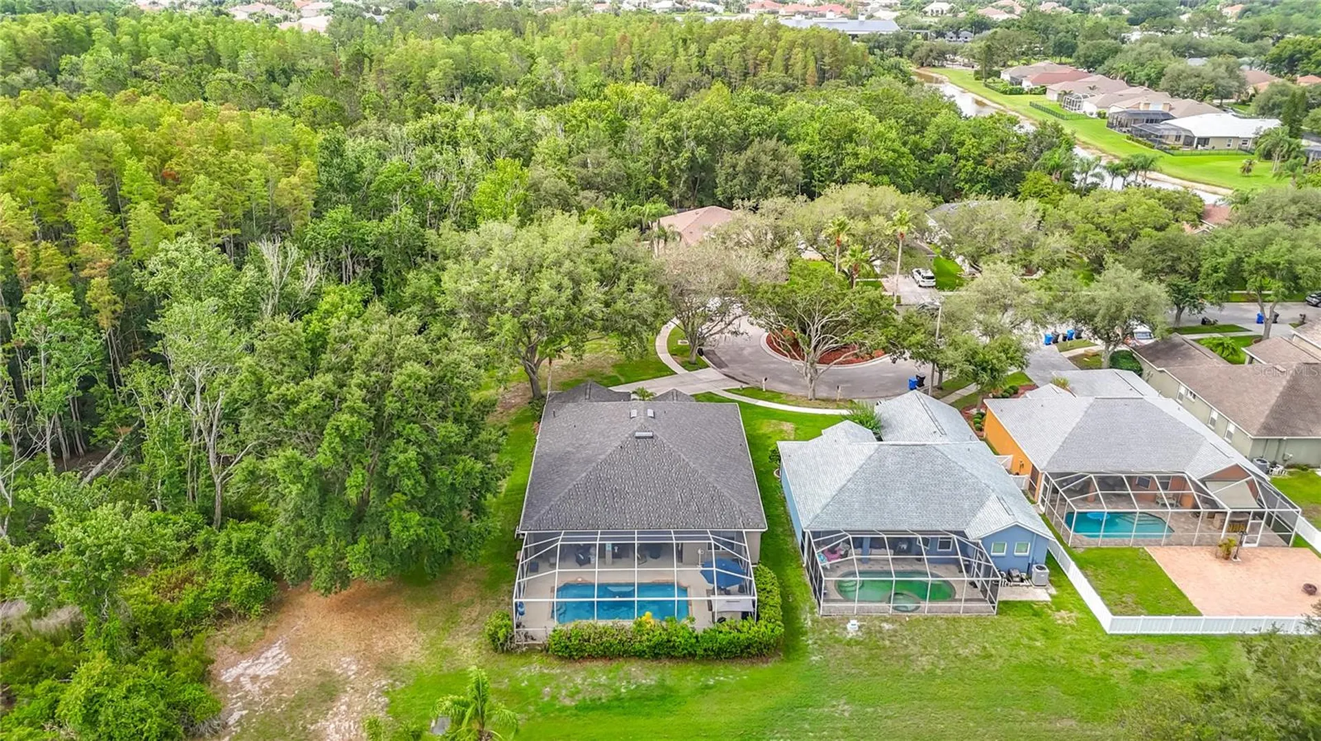 19101 Golden Cacoon Place Lutz FL 33558