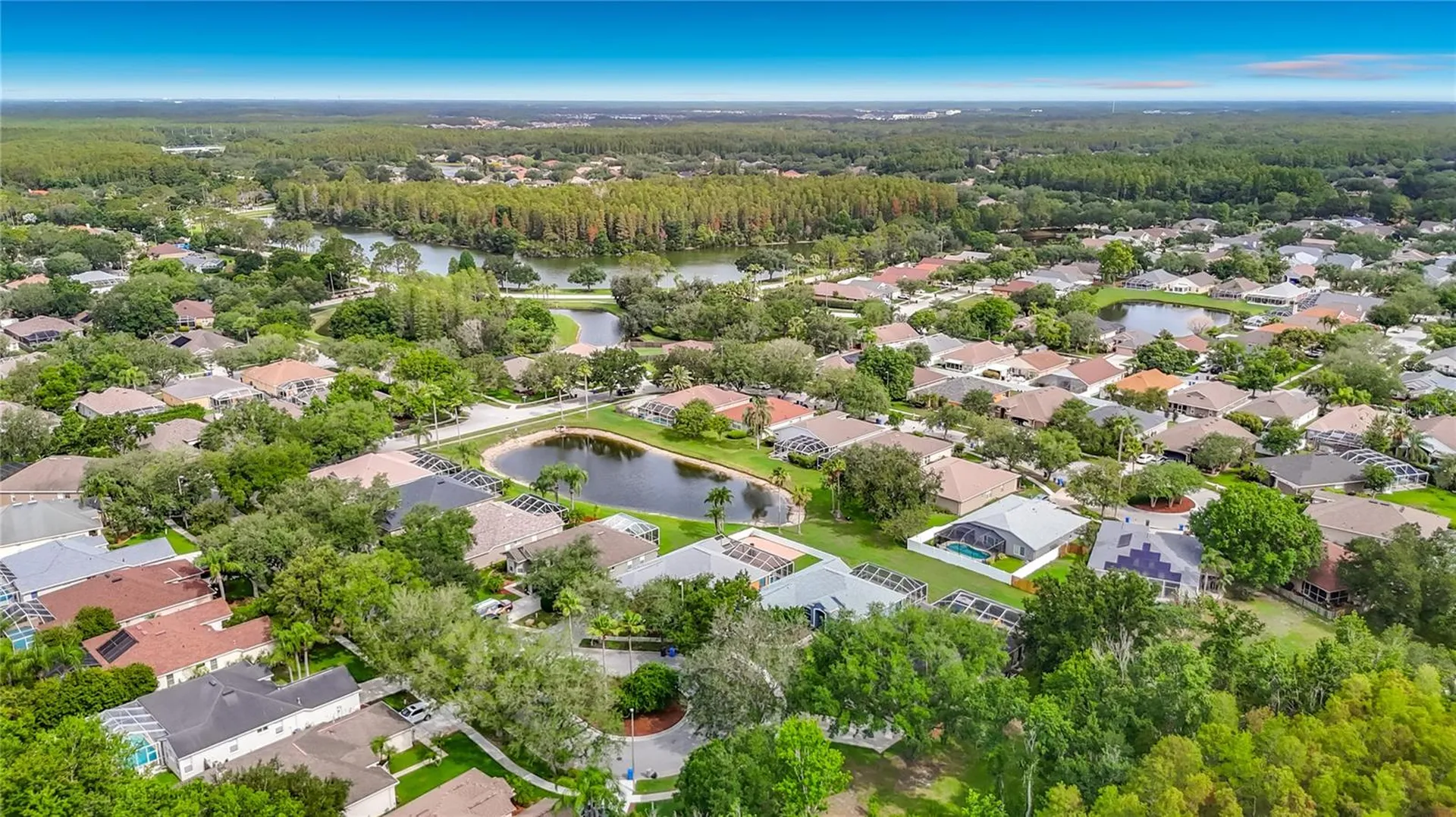 19101 Golden Cacoon Place Lutz FL 33558