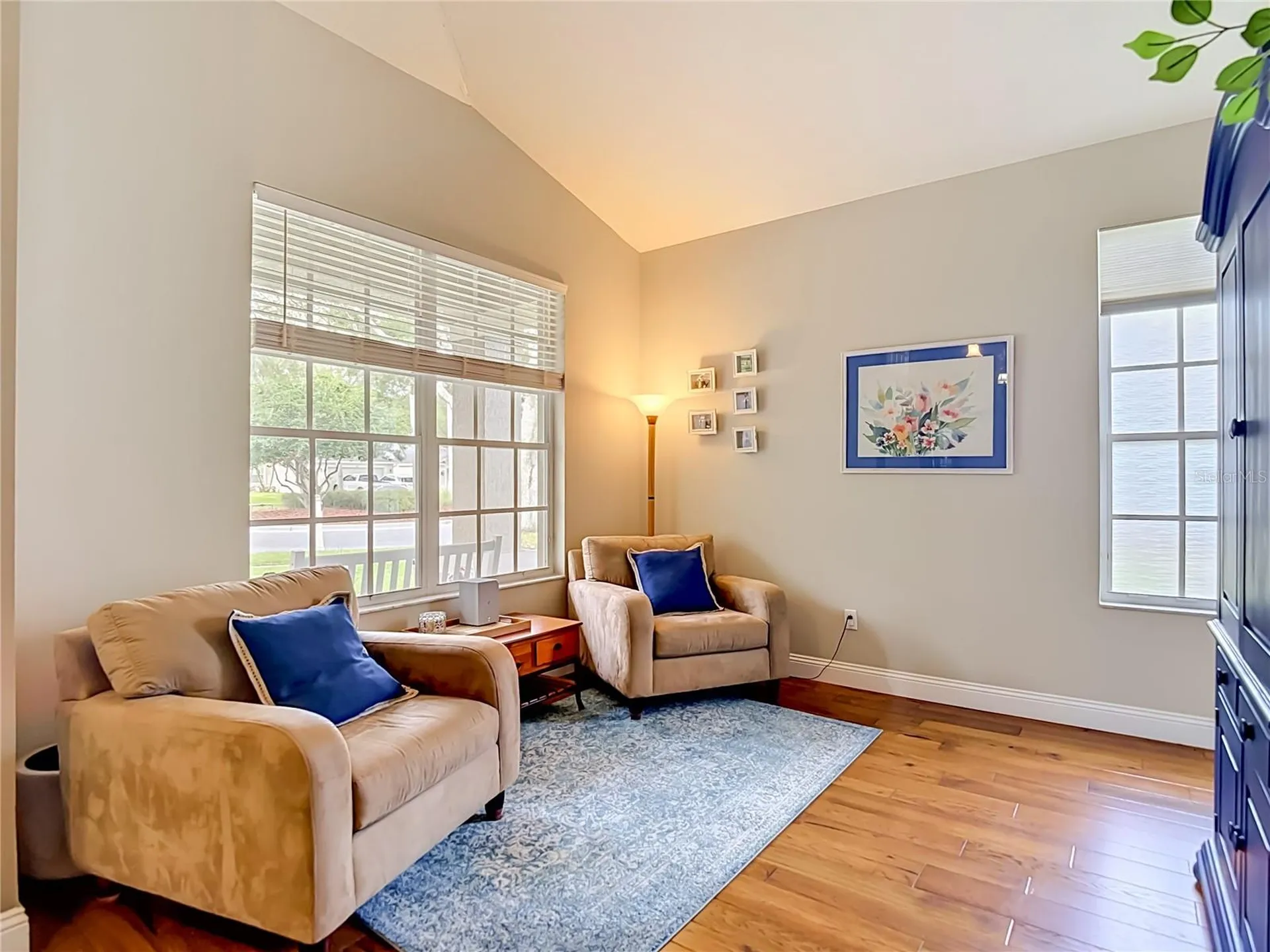 19101 Golden Cacoon Place Lutz FL 33558