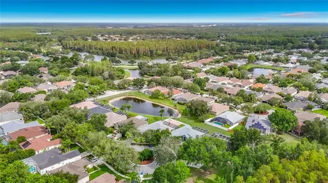 19101 Golden Cacoon Place Lutz FL 33558