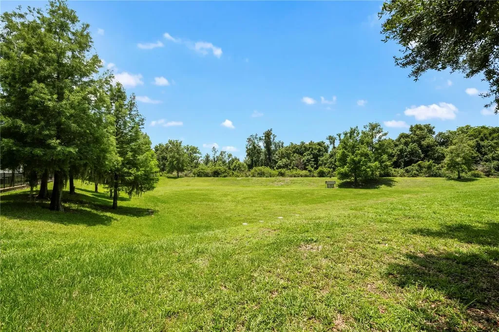 142 Southern Pecan Circle Winter Garden FL 34787