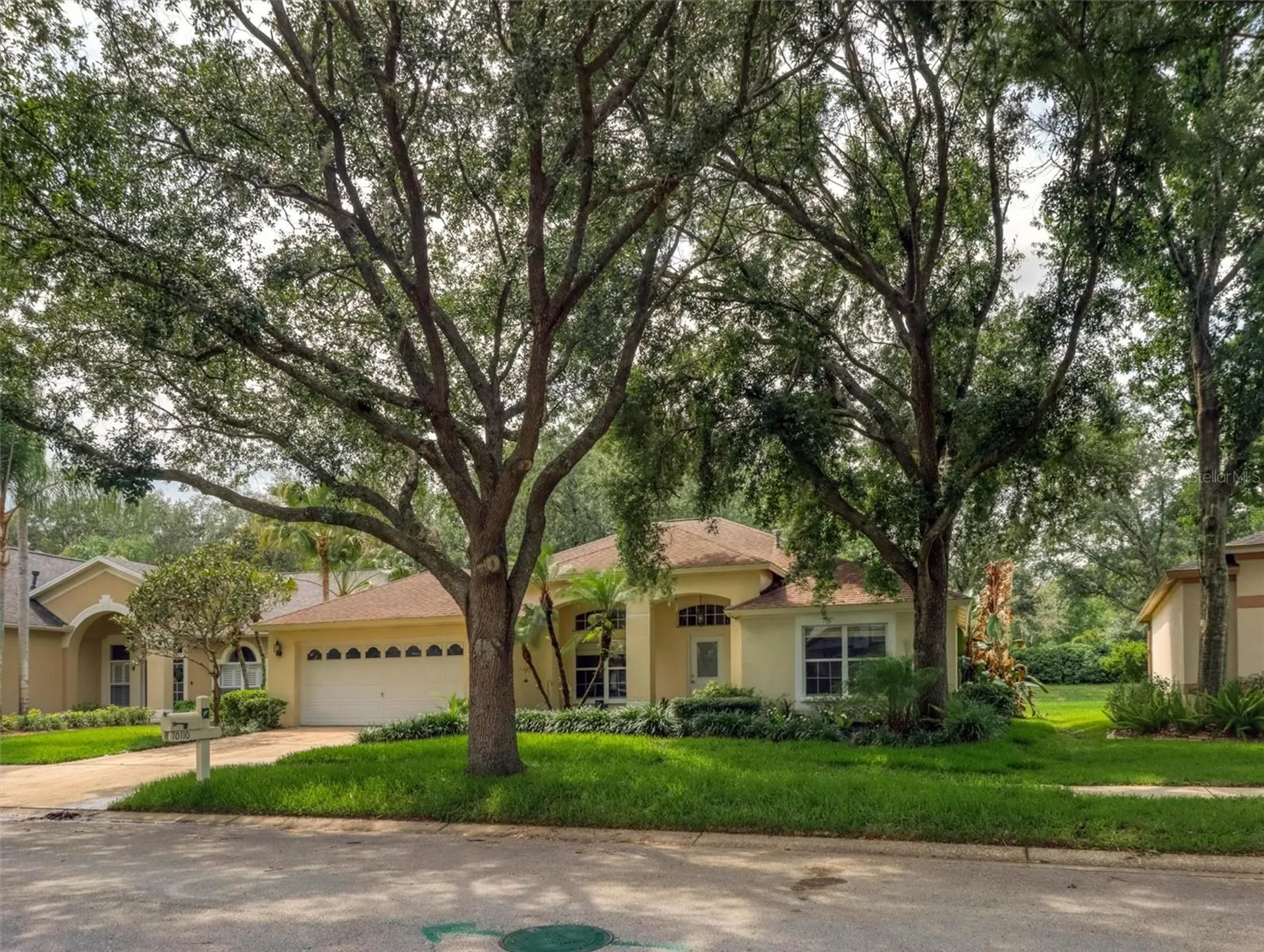 10110 Whisper Pointe Drive Tampa FL 33647