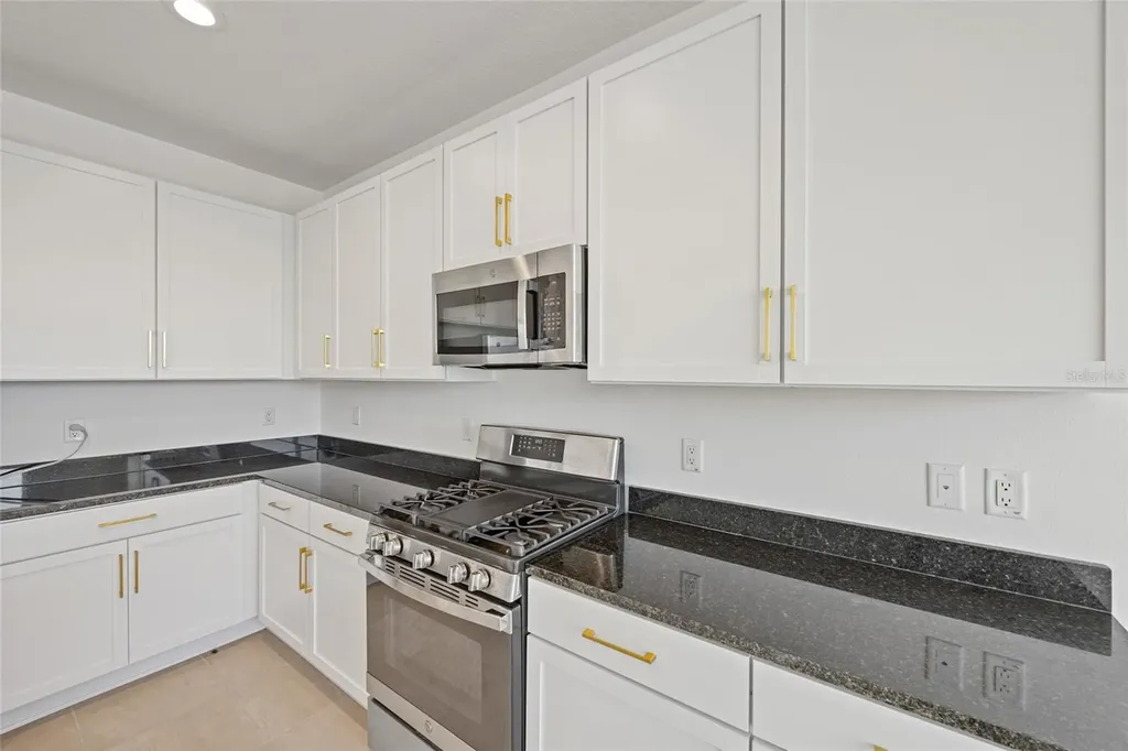 32684 Tamarind Grove Lane Wesley Chapel FL 33543