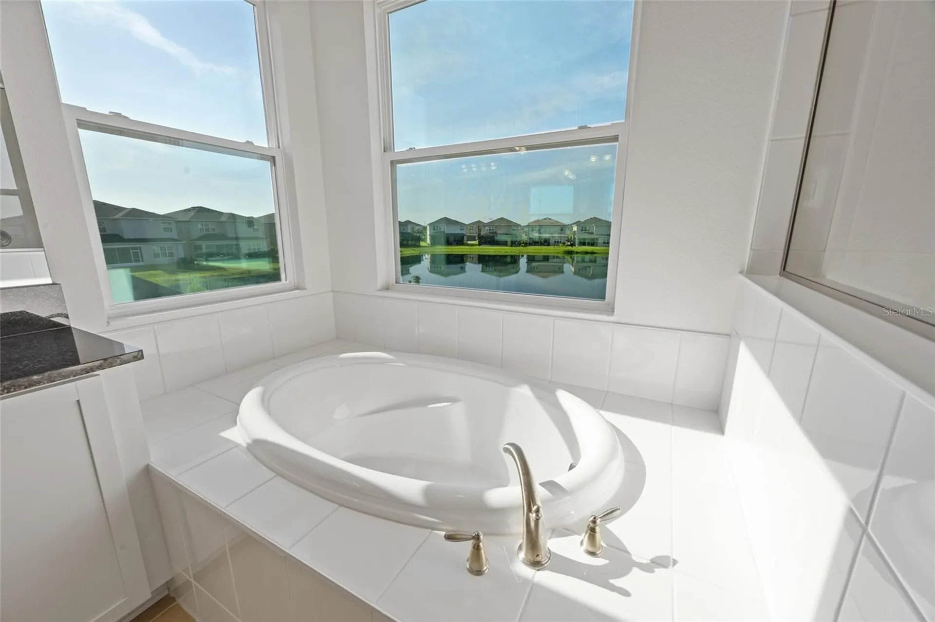 32684 Tamarind Grove Lane Wesley Chapel FL 33543