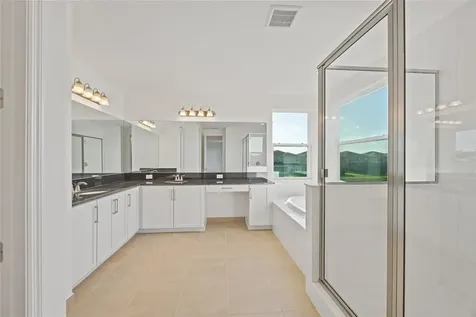 32684 Tamarind Grove Lane Wesley Chapel FL 33543