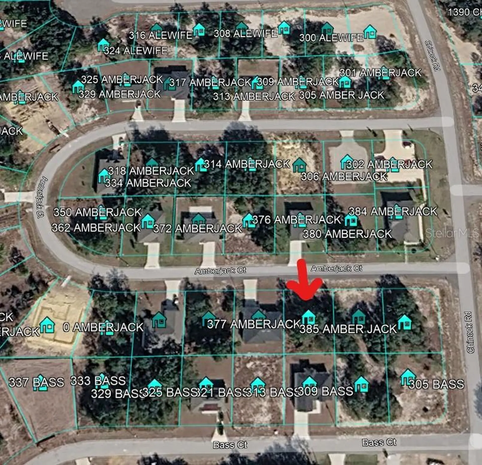 377 Amberjack Court Kissimmee FL 34759