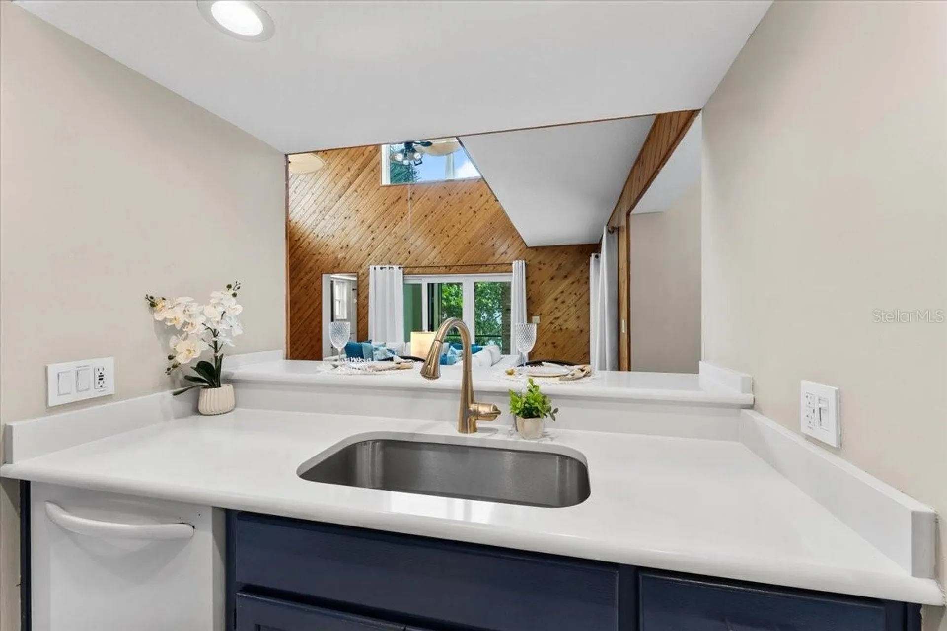 1589 Mary Lane Tarpon Springs FL 34689