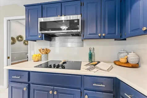 1589 Mary Lane Tarpon Springs FL 34689