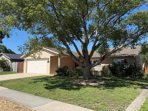 4243 Chipmunk Drive New Port Richey FL 34653