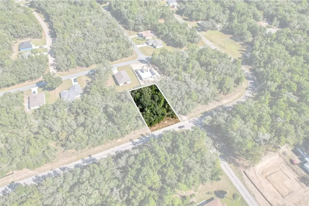 10562 N Adler Drive Citrus Springs FL 34434