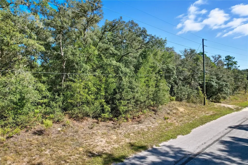 10562 N Adler Drive Citrus Springs FL 34434