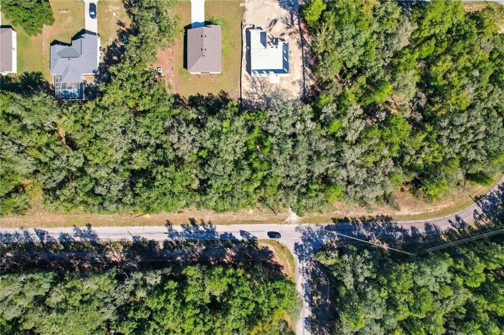 10562 N Adler Drive Citrus Springs FL 34434