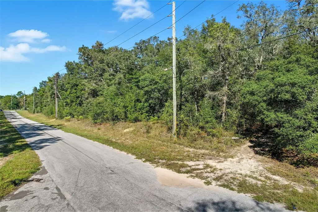 10562 N Adler Drive Citrus Springs FL 34434