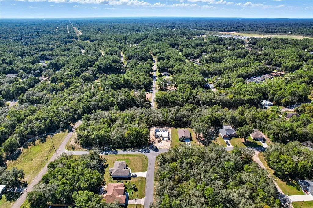 10562 N Adler Drive Citrus Springs FL 34434