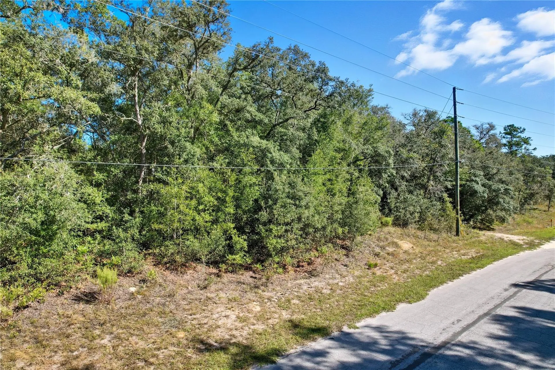 10562 N Adler Drive Citrus Springs FL 34434