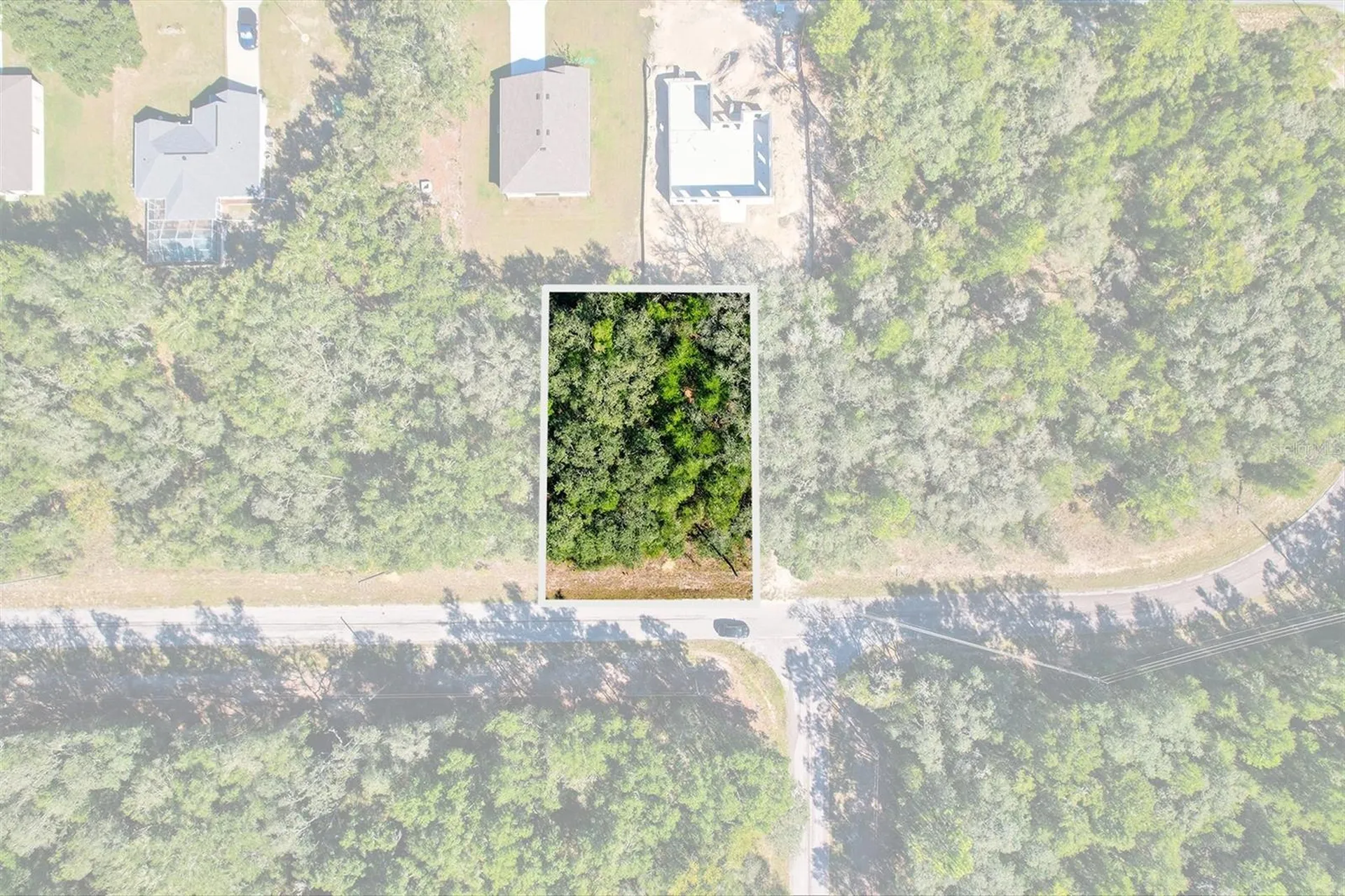 10562 N Adler Drive Citrus Springs FL 34434