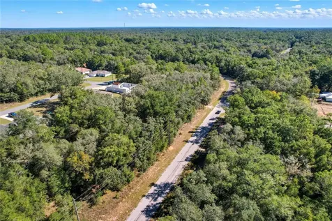10562 N Adler Drive Citrus Springs FL 34434
