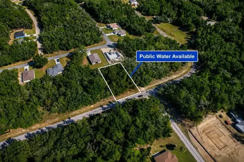 10562 N Adler Drive Citrus Springs FL 34434