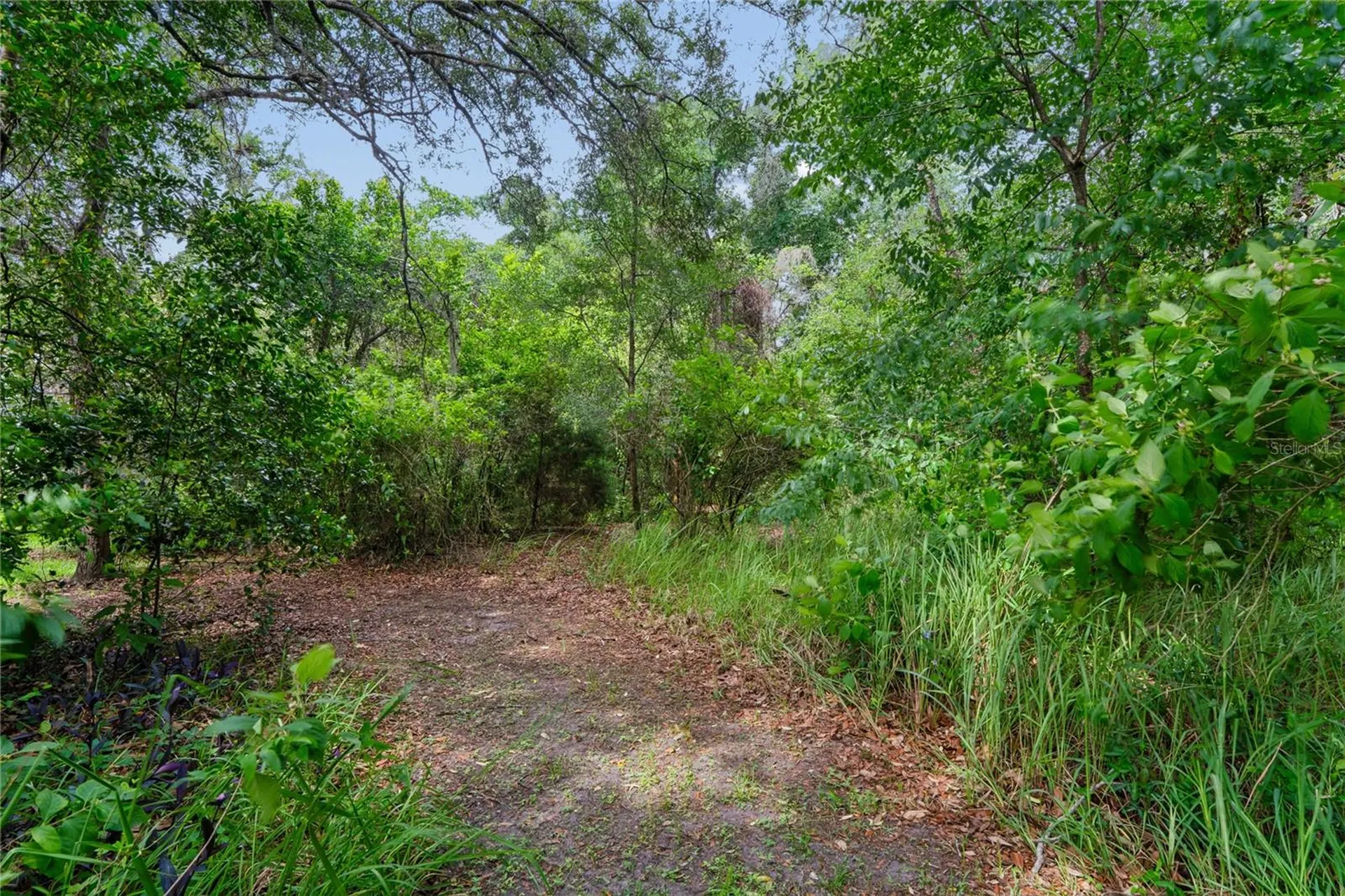 18915 Bascomb Lane Hudson FL 34667