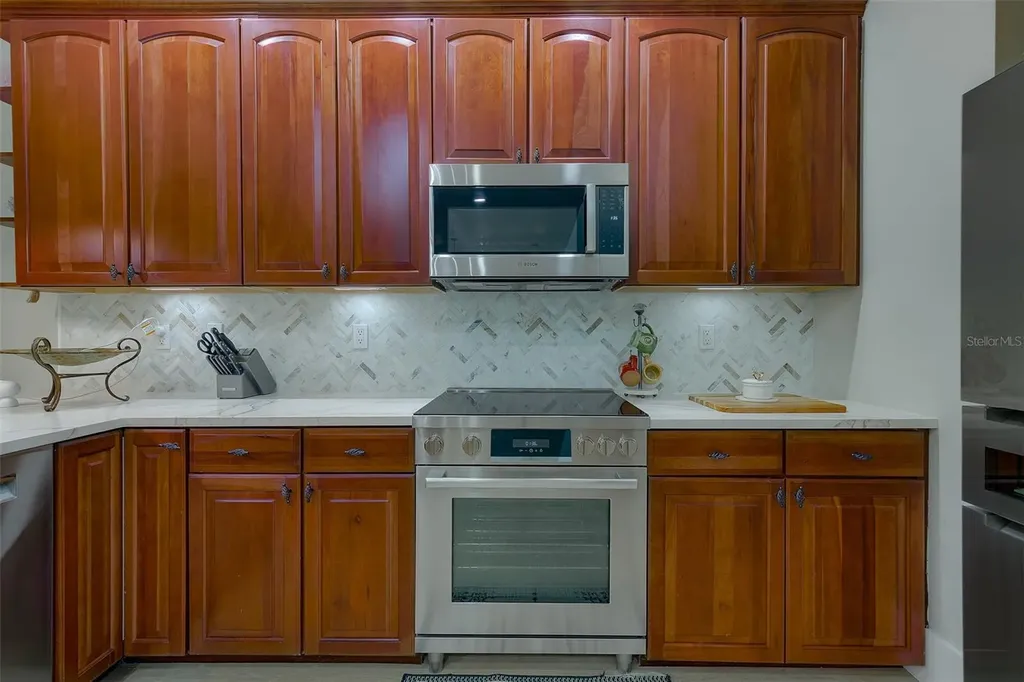 1415 Tessano Place Palm Harbor FL 34683