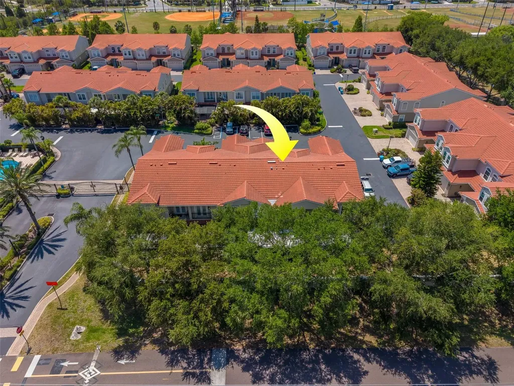 1415 Tessano Place Palm Harbor FL 34683