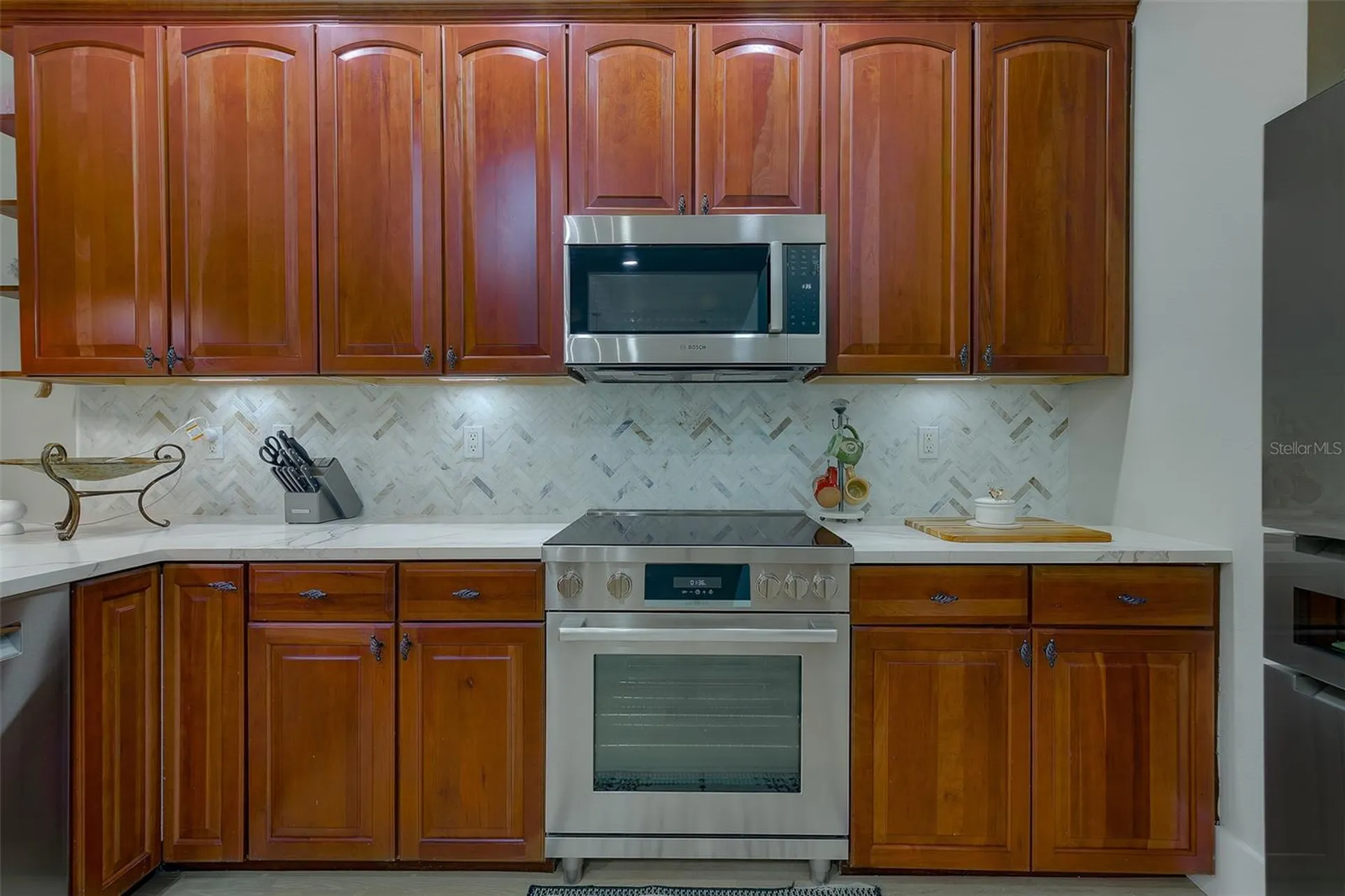 1415 Tessano Place Palm Harbor FL 34683
