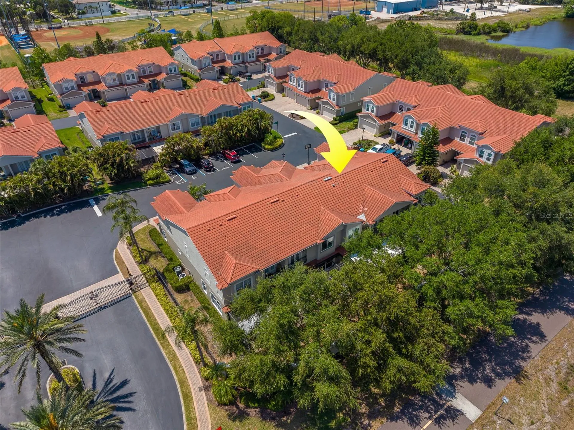 1415 Tessano Place Palm Harbor FL 34683