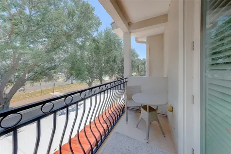 1415 Tessano Place Palm Harbor FL 34683