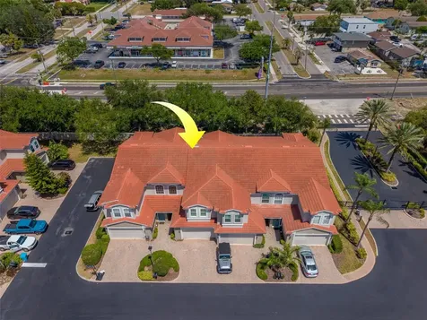 1415 Tessano Place Palm Harbor FL 34683