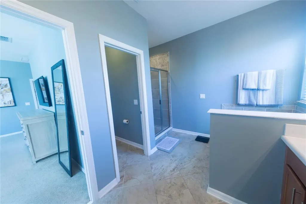 17459 Chateau Pine Way Clermont FL 34711