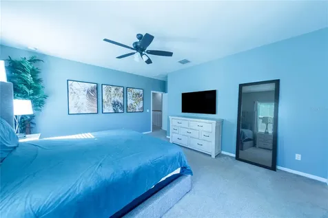 17459 Chateau Pine Way Clermont FL 34711