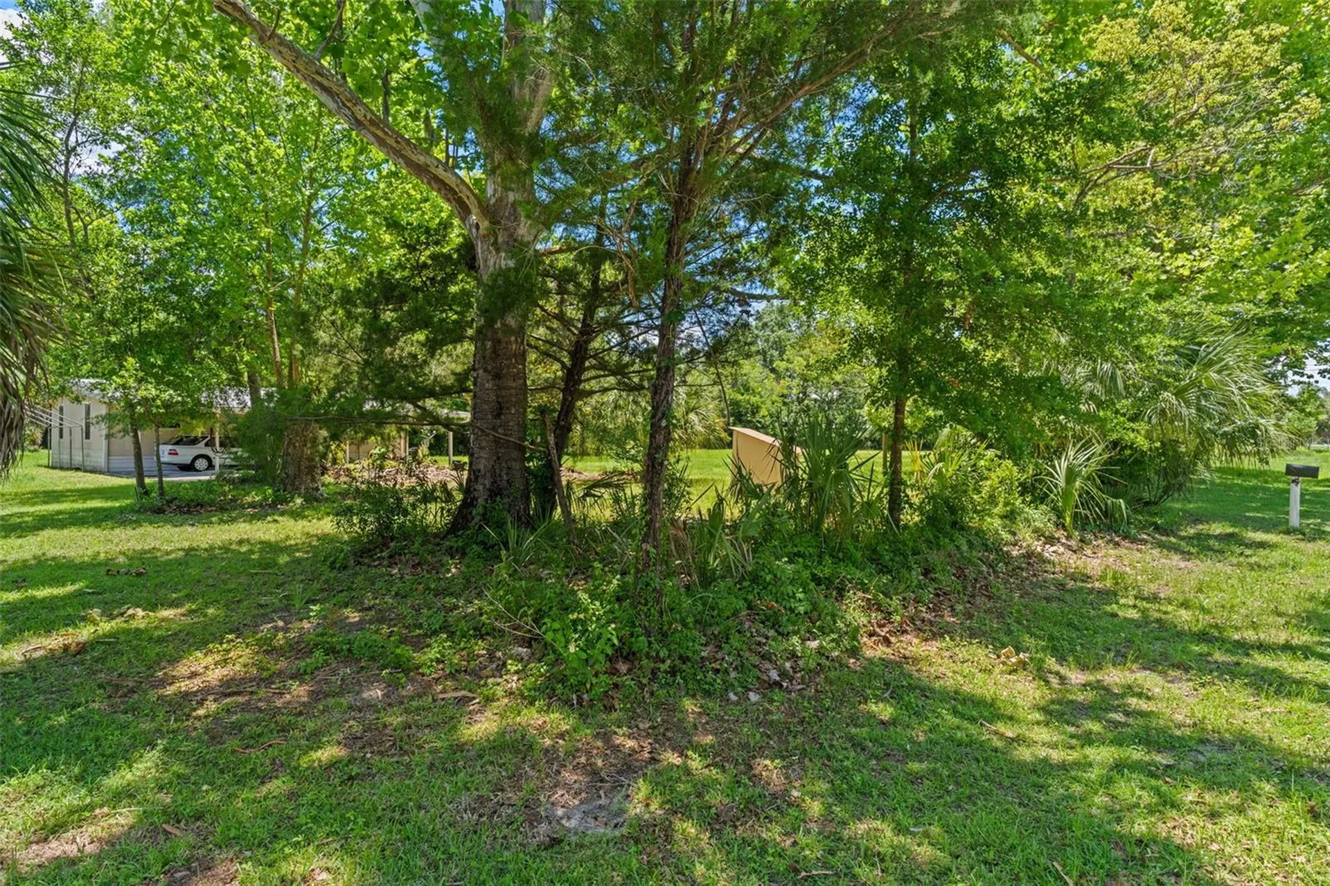 3909 S Cedar Terrace Homosassa FL 34448