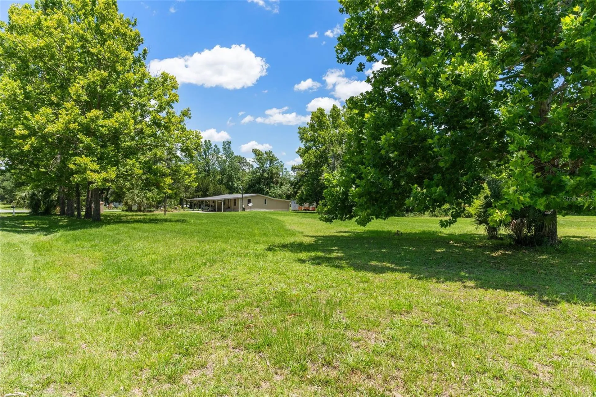 3909 S Cedar Terrace Homosassa FL 34448