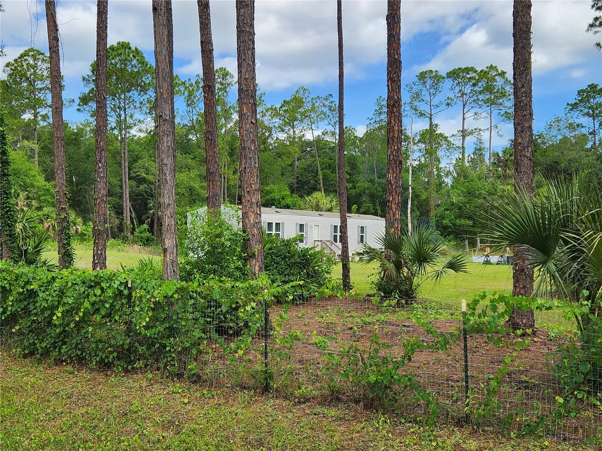 5074 Butternut Avenue Bunnell FL 32110