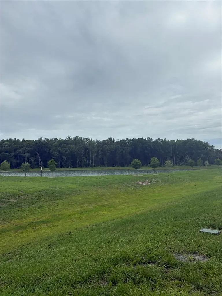 1550 Ranchette Road Wesley Chapel FL 33543
