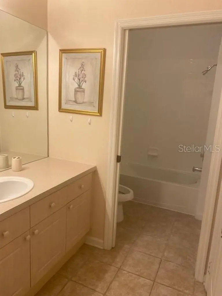 2307 Silver Palm Drive Kissimmee FL 34747