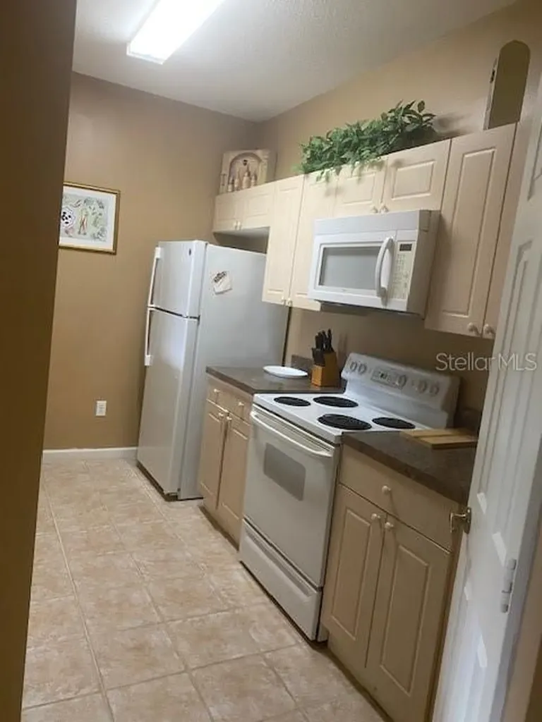 2307 Silver Palm Drive Kissimmee FL 34747