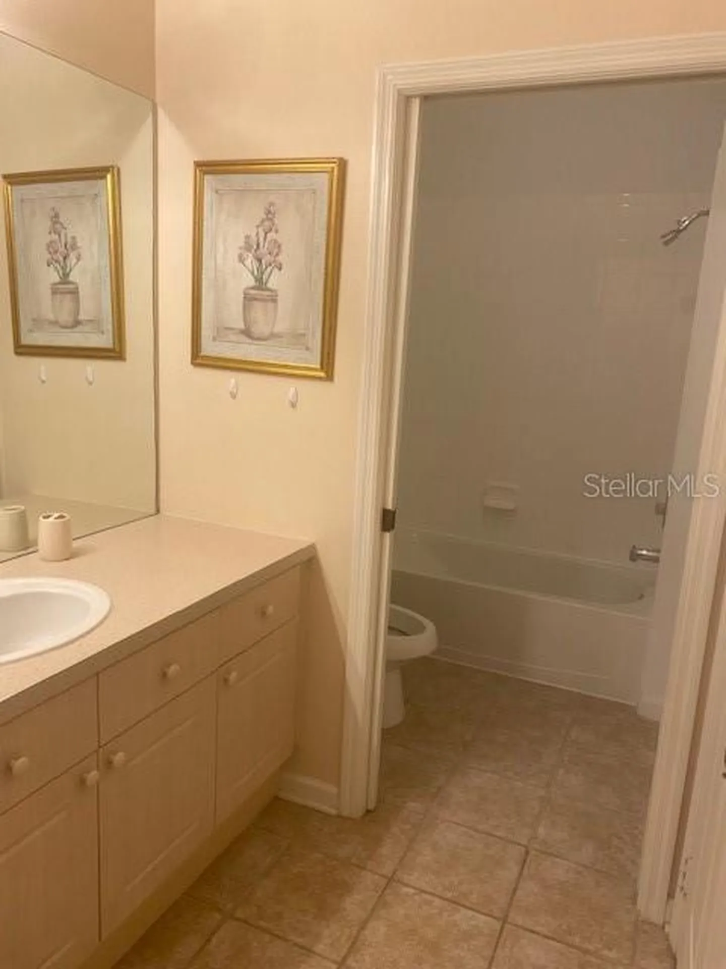 2307 Silver Palm Drive Kissimmee FL 34747