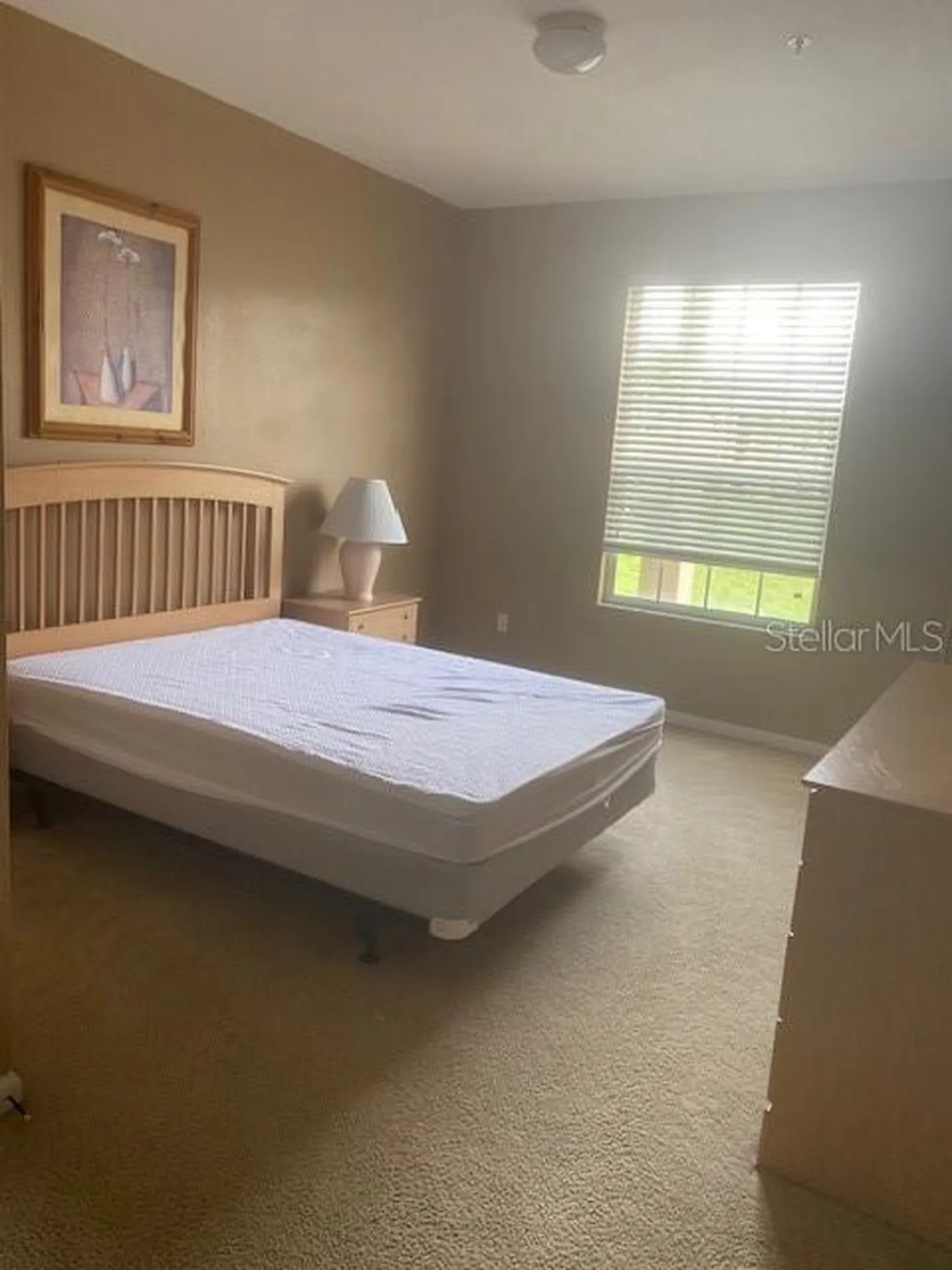 2307 Silver Palm Drive Kissimmee FL 34747