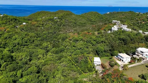 Hidden Tranquil Lot 413 Sector Collazo Rincon PR 00677