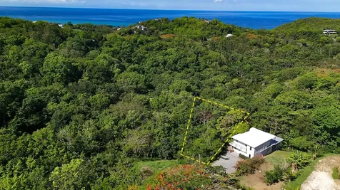 Hidden Tranquil Lot 413 Sector Collazo Rincon PR 00677