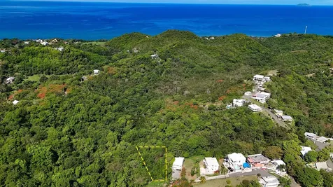 Hidden Tranquil Lot 413 Sector Collazo Rincon PR 00677