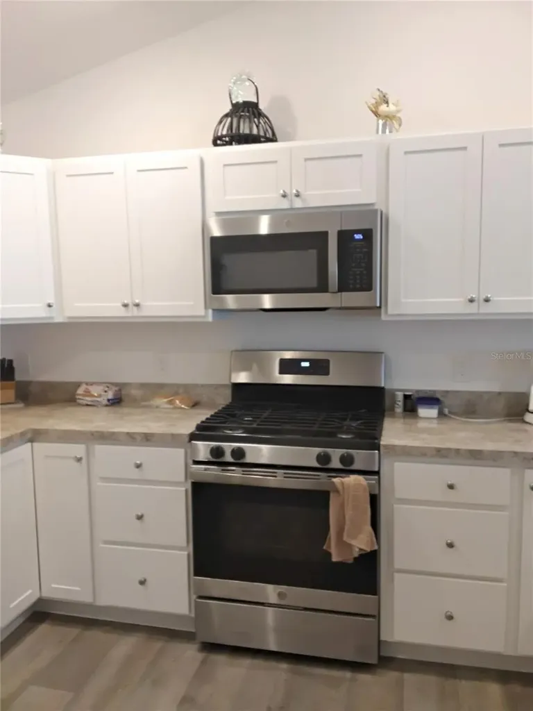 3561 Cochran Street The Villages FL 32163
