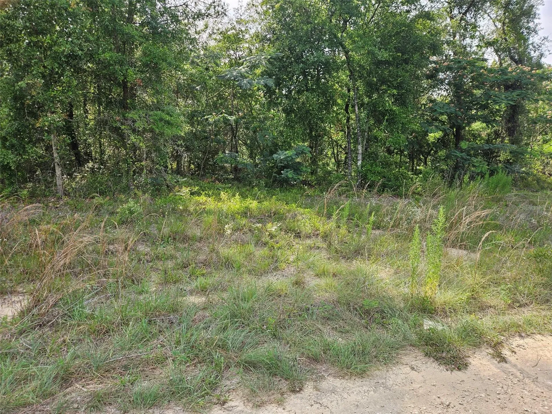 Tbd NE 153rd Avenue Williston FL 32696