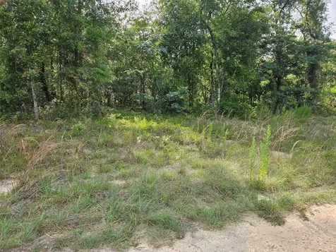 Tbd NE 153rd Avenue Williston FL 32696